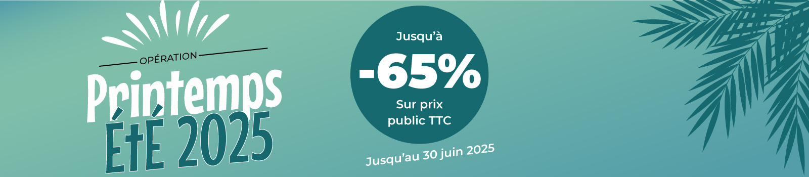 Promotion Peintures Printemps 2025