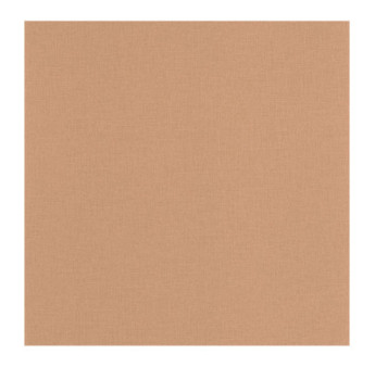 Papier Peint CASELIO Basics BAI64524344