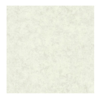 Papier Peint CASELIO Beton 2 BTO101487140