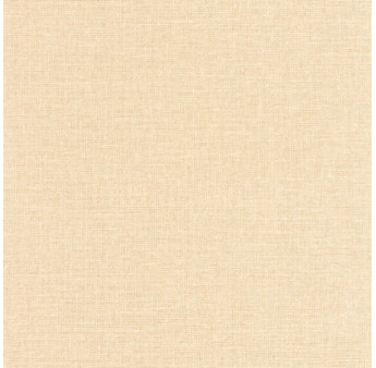 Papier Peint CASELIO Jute JTE104012780