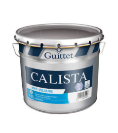 Peinture GUITTET Calista mat velours blanc 10L