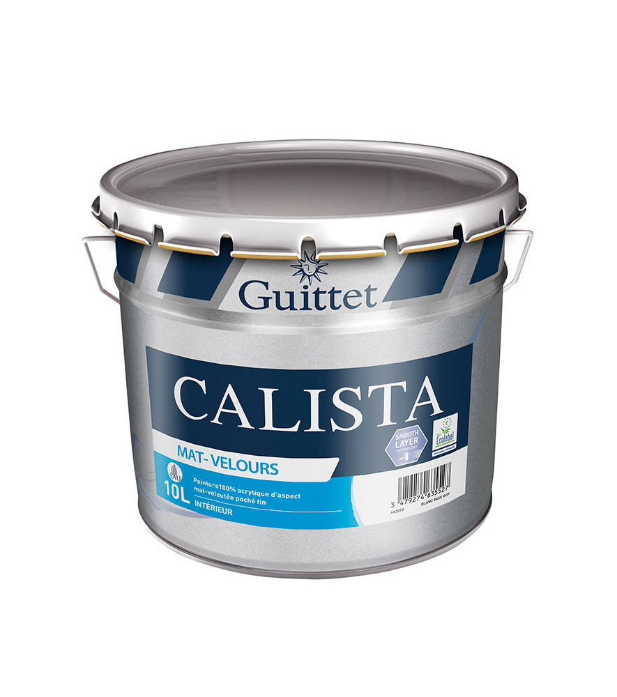 Peinture GUITTET Calista mat velours blanc 10L