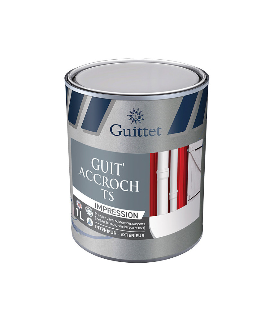 Peinture GUITTET Guit'Accroch TS blanc 1L