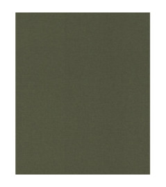 Papier Peint RASCH Bloomsbury 302249