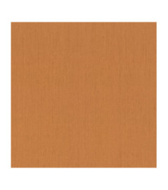 Papier Peint RASCH Indian Style 746099