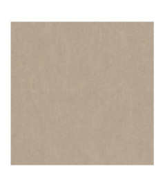 Papier Peint RASCH Plains 291000