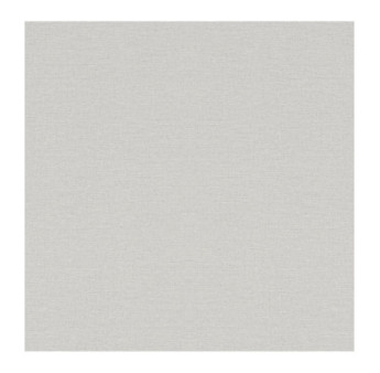 Papier Peint RASCH Plains 295589