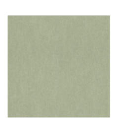 Papier Peint RASCH Plains 298986