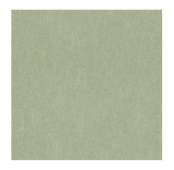 Papier Peint RASCH Plains 298986