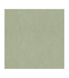 Papier Peint RASCH Plains 298986