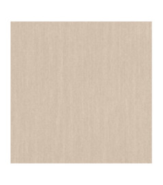 Papier Peint RASCH Plains 300696