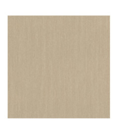 Papier Peint RASCH Plains 300702