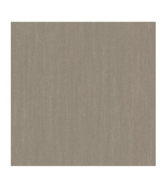 Papier Peint RASCH Plains 300757