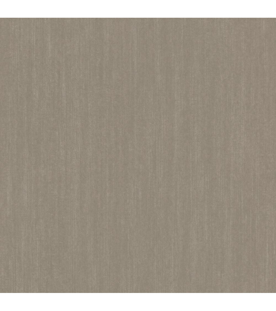 Papier Peint RASCH Plains 300757