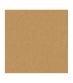 Papier Peint RASCH Plains 301587