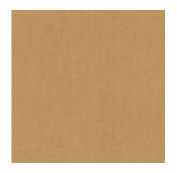 Papier Peint RASCH Plains 301587