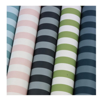 Papier Peint RASCH Strictly Stripes VII 288444