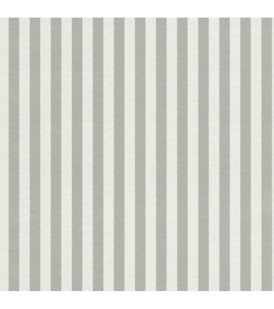 Papier Peint RASCH Strictly Stripes VII 288956