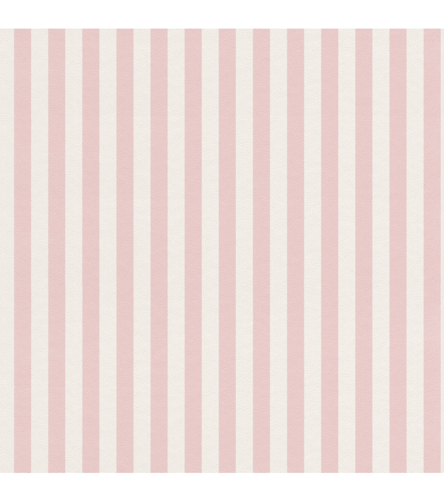 Papier Peint RASCH Strictly Stripes VII 289045