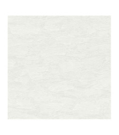 Papier Peint RASCH Wallton 102611