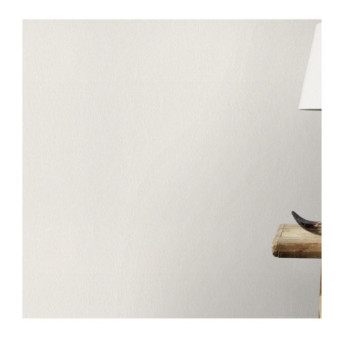 Papier Peint RASCH Wallton 124507