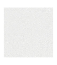 Papier Peint RASCH Wallton 127409