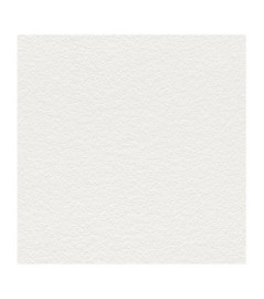 Papier Peint RASCH Wallton 127607