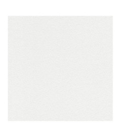 Papier Peint RASCH Wallton 128000