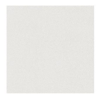 Papier Peint RASCH Wallton 144000