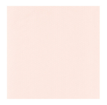 Papier Peint CASADECO Rose & Nino RONI29794286