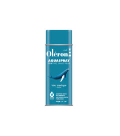 Aérosol TECHNIMA Aquaspray Oléron bleu nordique satiné 400ml