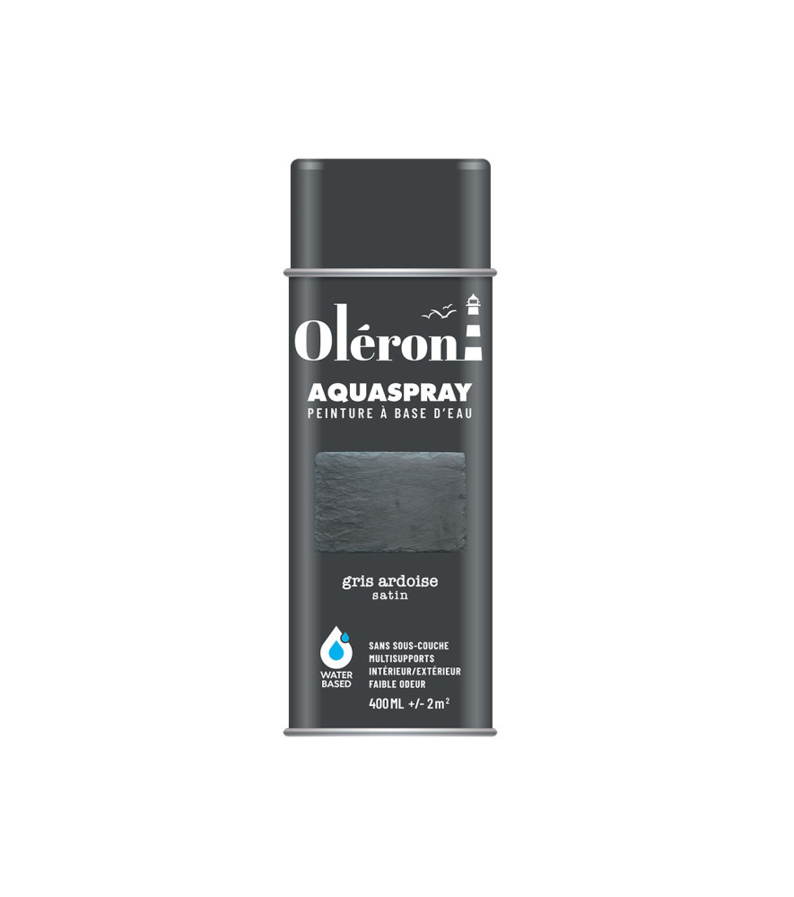 Aérosol TECHNIMA Aquaspray Oléron gris ardoise satiné 400ml