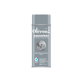 Aérosol TECHNIMA Aquaspray Oléron gris lune satiné 400ml