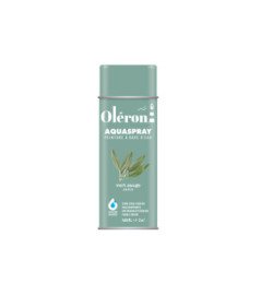 Aérosol TECHNIMA Aquaspray Oléron vert sauge satiné 400ml