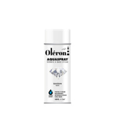 Aérosol TECHNIMA Aquaspray Oléron mat incolore 400ml