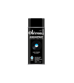 Aérosol TECHNIMA Aquaspray Oléron brillant noir vinyle 400ml