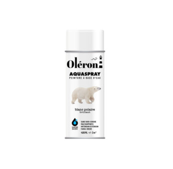 Aérosol TECHNIMA Aquaspray Oléron brillant blanc polaire 400ml