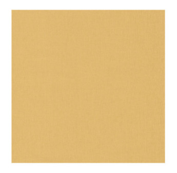 Papier Peint CASELIO Linen 2 LINN68522020