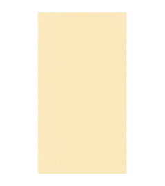 Papier Peint CASELIO Linen 2 LINN68522259