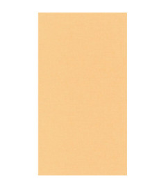 Papier Peint CASELIO Linen 2 LINN68523115