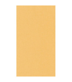 Papier Peint CASELIO Linen 2 LINN68523250