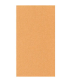 Papier Peint CASELIO Linen 2 LINN68523366