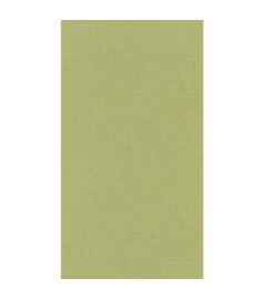 Papier Peint CASELIO Linen 2 LINN68527203