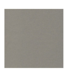 Papier Peint CASELIO Linen 2 LINN68529627