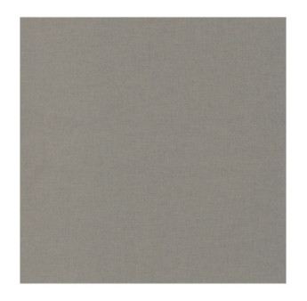 Papier Peint CASELIO Linen 2 LINN68529627