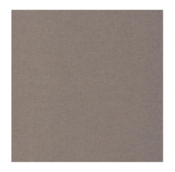 Papier Peint CASELIO Linen 2 LINN68529731