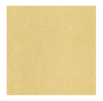 Papier Peint CASADECO Mediterranée MEDI82382375