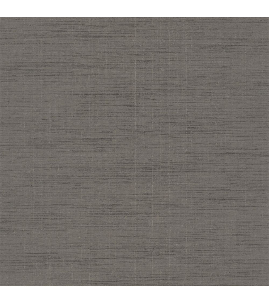 Papier Peint CASADECO Tissage Les Unis TISA85849409