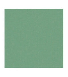 Papier Peint CASADECO So Color 4 SCOL80417521