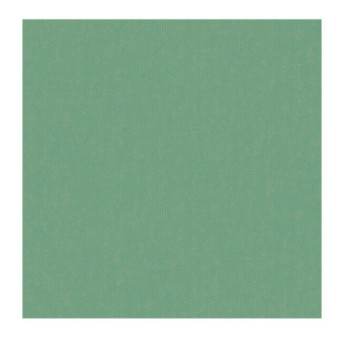 Papier Peint CASADECO So Color 4 SCOL80417521